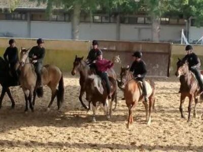 Société d’Equitation Bressane