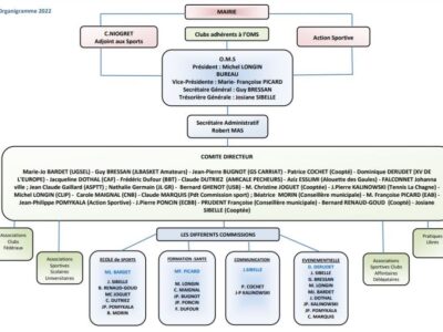 Organigramme